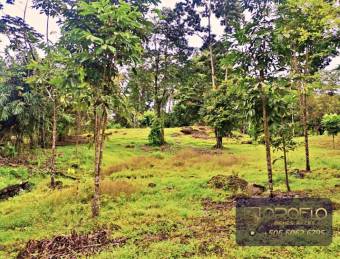 MIXED-USE LAND PROPERTY GUAPILES OF POCOCI, LIMON #70201eb