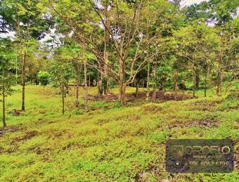 MIXED-USE LAND PROPERTY GUAPILES OF POCOCI, LIMON #70201eb