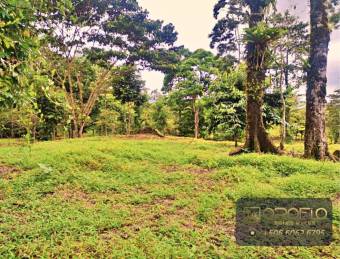 MIXED-USE LAND PROPERTY GUAPILES OF POCOCI, LIMON #70201eb