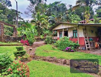 MIXED-USE LAND PROPERTY GUAPILES OF POCOCI, LIMON #70201eb