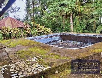 MIXED-USE LAND PROPERTY GUAPILES OF POCOCI, LIMON #70201eb