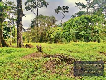 MIXED-USE LAND PROPERTY GUAPILES OF POCOCI, LIMON #70201eb
