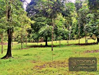 MIXED-USE LAND PROPERTY GUAPILES OF POCOCI, LIMON #70201eb