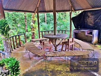 MIXED-USE LAND PROPERTY GUAPILES OF POCOCI, LIMON #70201eb