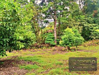 MIXED-USE LAND PROPERTY GUAPILES OF POCOCI, LIMON #70201eb