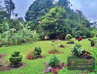 MIXED-USE LAND PROPERTY GUAPILES OF POCOCI, LIMON #70201eb