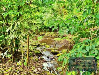 MIXED-USE LAND PROPERTY GUAPILES OF POCOCI, LIMON #70201eb