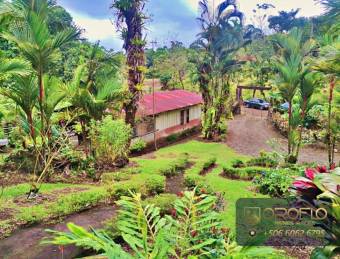 MIXED-USE LAND PROPERTY GUAPILES OF POCOCI, LIMON #70201eb