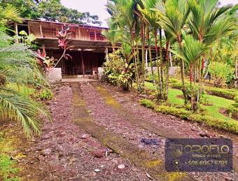 MIXED-USE LAND PROPERTY GUAPILES OF POCOCI, LIMON #70201eb