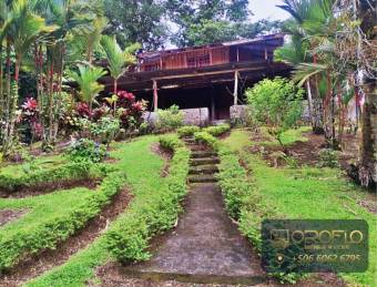 MIXED-USE LAND PROPERTY GUAPILES OF POCOCI, LIMON #70201eb