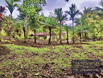 MIXED-USE LAND PROPERTY GUAPILES OF POCOCI, LIMON #70201eb