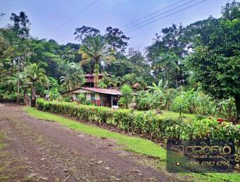MIXED-USE LAND PROPERTY GUAPILES OF POCOCI, LIMON #70201eb