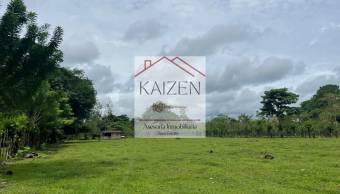 VENTA DE TERRENO l GUACIMO l LIMON l PRECIO NEGOCIABLE. VENTA DE TERRENO l GUACIMO l LIMON l PRECIO NEGOCIABLE.