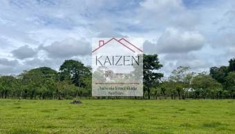 VENTA DE TERRENO l GUACIMO l LIMON l PRECIO NEGOCIABLE. VENTA DE TERRENO l GUACIMO l LIMON l PRECIO NEGOCIABLE.