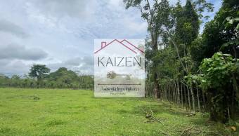 VENTA DE TERRENO l GUACIMO l LIMON l PRECIO NEGOCIABLE. VENTA DE TERRENO l GUACIMO l LIMON l PRECIO NEGOCIABLE.