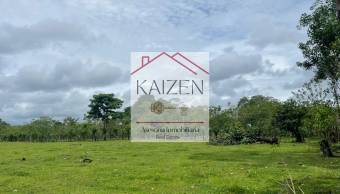 VENTA DE TERRENO l GUACIMO l LIMON l PRECIO NEGOCIABLE. VENTA DE TERRENO l GUACIMO l LIMON l PRECIO NEGOCIABLE.