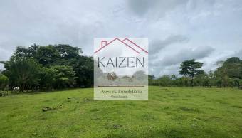 VENTA DE TERRENO l GUACIMO l LIMON l PRECIO NEGOCIABLE. VENTA DE TERRENO l GUACIMO l LIMON l PRECIO NEGOCIABLE.