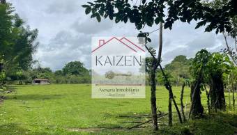 VENTA DE TERRENO l GUACIMO l LIMON l PRECIO NEGOCIABLE. VENTA DE TERRENO l GUACIMO l LIMON l PRECIO NEGOCIABLE.