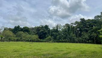 VENTA DE TERRENO l GUACIMO l LIMON l PRECIO NEGOCIABLE. VENTA DE TERRENO l GUACIMO l LIMON l PRECIO NEGOCIABLE.