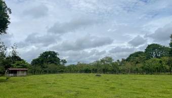 VENTA DE TERRENO l GUACIMO l LIMON l PRECIO NEGOCIABLE. VENTA DE TERRENO l GUACIMO l LIMON l PRECIO NEGOCIABLE.