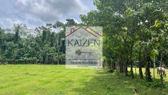 VENTA DE TERRENO l GUACIMO l LIMON l PRECIO NEGOCIABLE. VENTA DE TERRENO l GUACIMO l LIMON l PRECIO NEGOCIABLE.