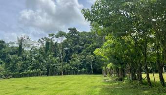 VENTA DE TERRENO l GUACIMO l LIMON l PRECIO NEGOCIABLE. VENTA DE TERRENO l GUACIMO l LIMON l PRECIO NEGOCIABLE.