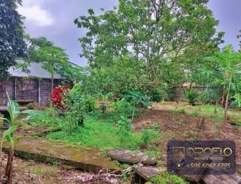 UNIQUE INVESTMENT OPPORTUNITY IN GUAPILES POCOCÍ, LIMÓN #70201fm