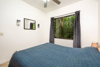 Property with 3 Rental Houses in Tropical Paradise Near Tamarindo Property with 3 Rental Houses in Tropical Paradise Near Tamarindo