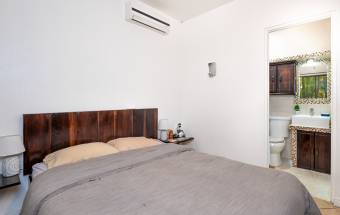 Property with 3 Rental Houses in Tropical Paradise Near Tamarindo Property with 3 Rental Houses in Tropical Paradise Near Tamarindo