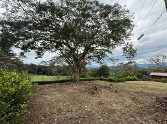 VENTA DE LOTE, USO MIXTO, ALAJUELA, ATENAS, CONCEPCIÓN VENTA DE LOTE, USO MIXTO, ALAJUELA, ATENAS, CONCEPCIÓN