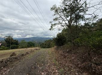 VENTA DE LOTE, USO MIXTO, ALAJUELA, ATENAS, CONCEPCIÓN VENTA DE LOTE, USO MIXTO, ALAJUELA, ATENAS, CONCEPCIÓN