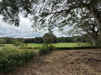 VENTA DE LOTE, USO MIXTO, ALAJUELA, ATENAS, CONCEPCIÓN VENTA DE LOTE, USO MIXTO, ALAJUELA, ATENAS, CONCEPCIÓN