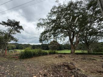 VENTA DE LOTE, USO MIXTO, ALAJUELA, ATENAS, CONCEPCIÓN VENTA DE LOTE, USO MIXTO, ALAJUELA, ATENAS, CONCEPCIÓN