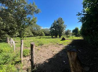 Lot- 400m2 in El Llano