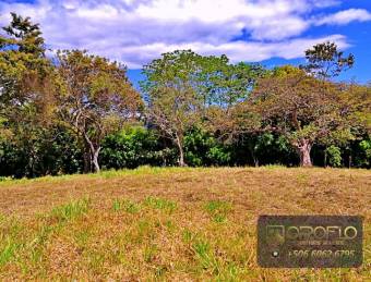 COUNTRY HOUSE ESTATE OROTINA, ALAJUELA #20901ab28 COUNTRY HOUSE ESTATE OROTINA, ALAJUELA #20901ab28