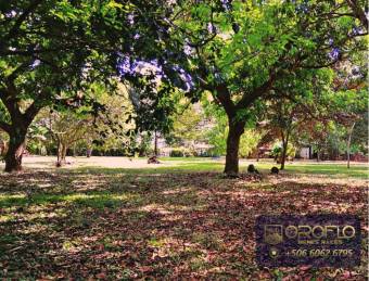 COUNTRY HOUSE ESTATE OROTINA, ALAJUELA #20901ab28 COUNTRY HOUSE ESTATE OROTINA, ALAJUELA #20901ab28