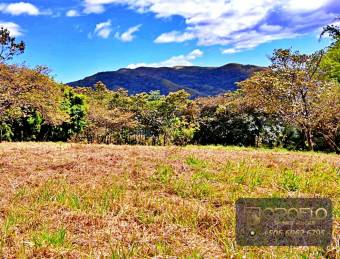 COUNTRY HOUSE ESTATE OROTINA, ALAJUELA #20901ab28 COUNTRY HOUSE ESTATE OROTINA, ALAJUELA #20901ab28