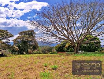 COUNTRY HOUSE ESTATE OROTINA, ALAJUELA #20901ab28 COUNTRY HOUSE ESTATE OROTINA, ALAJUELA #20901ab28