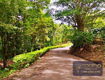 COUNTRY HOUSE ESTATE OROTINA, ALAJUELA #20901ab28 COUNTRY HOUSE ESTATE OROTINA, ALAJUELA #20901ab28