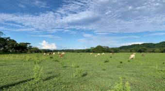 Strategic 23-Hectare Farm in La Garita Nueva