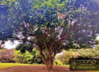 QUINTA RESIDENCIAL EN VENTA LABRADOR DE SAN MATEO, ALAJUELA #20403mz