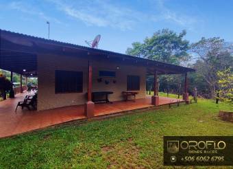 QUINTA RESIDENCIAL EN VENTA LABRADOR DE SAN MATEO, ALAJUELA #20403mz