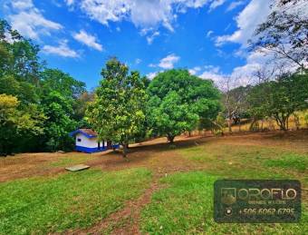 QUINTA DE RECREO EN VENTA OROTINA, ALAJUELA #20904em