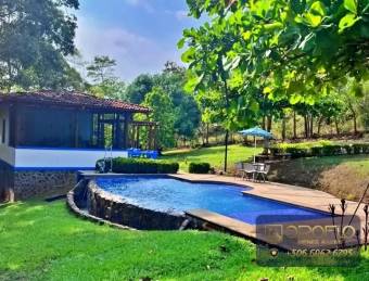 QUINTA DE RECREO EN VENTA OROTINA, ALAJUELA #20904em
