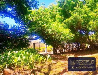 QUINTA CONDOMINAL EN VENTA  OROTINA, ALAJUELA #20901al