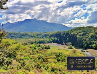 QUINTA CONDOMINAL EN VENTA  OROTINA, ALAJUELA #20901al