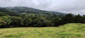 MLS-26-1131  VENTA LOTE SAN RAFAEL HEREDIA