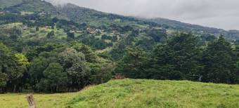 MLS-26-1131  VENTA LOTE SAN RAFAEL HEREDIA