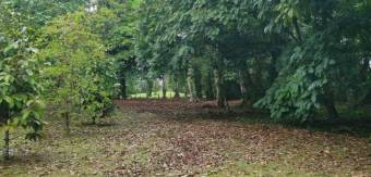 MLS-25-607 LS VENTA QUINTA GUACIMO LIMON