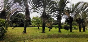 MLS-25-607 LS VENTA QUINTA GUACIMO LIMON